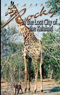 Rocky and the Lost City of the Kalahari